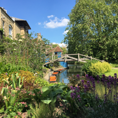 Bridge with punts and flowers