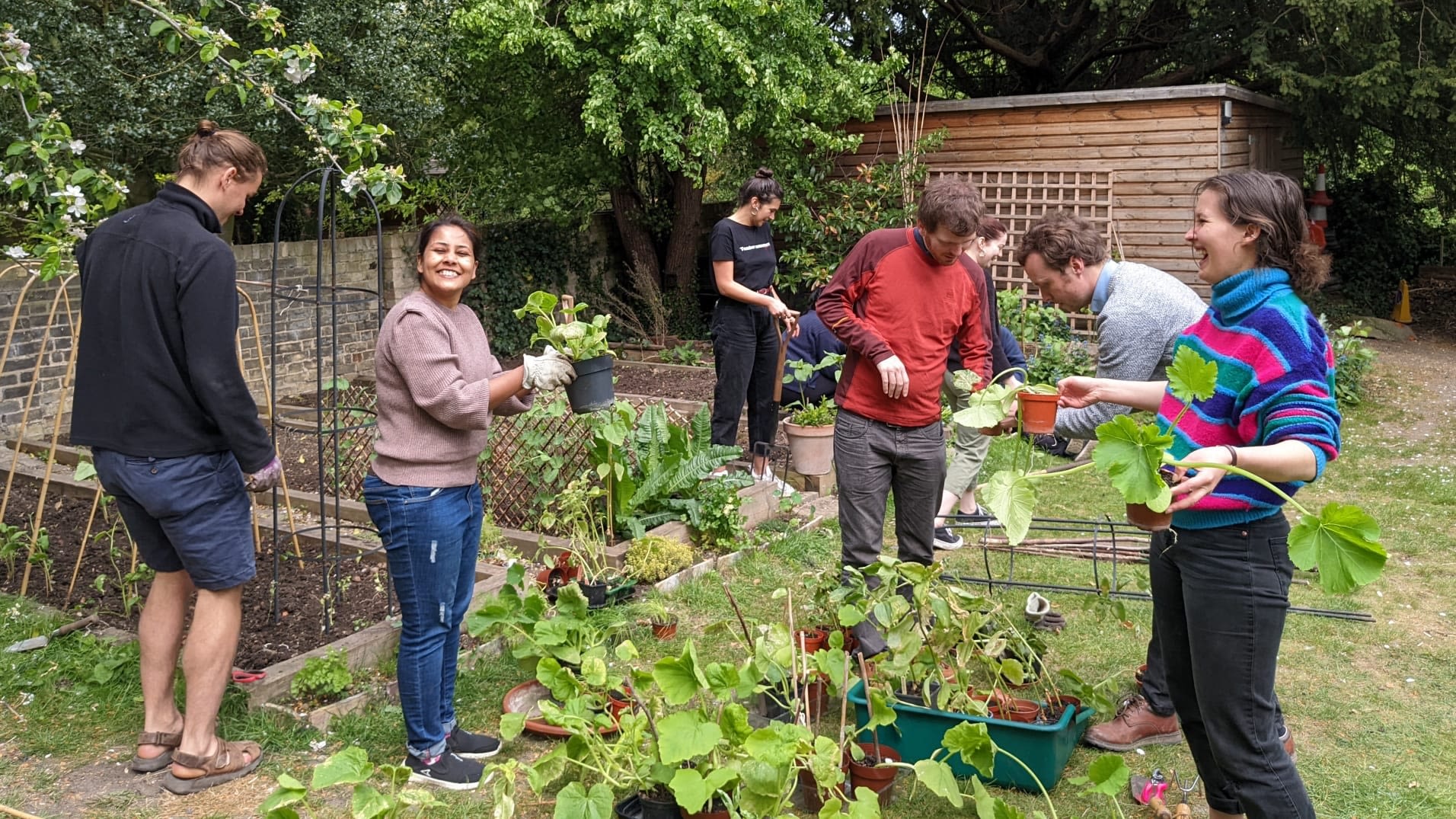 Students working on their Allotment
